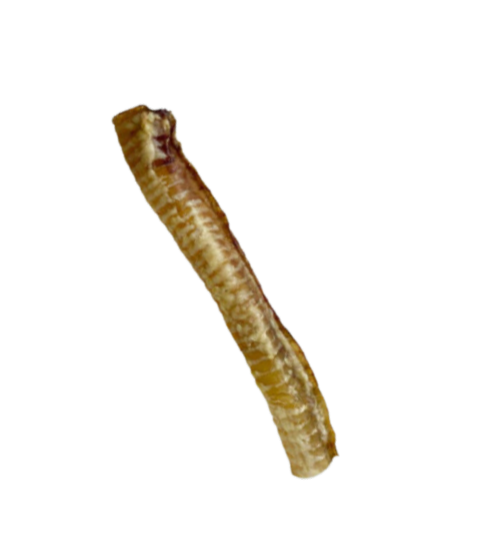 TUBO XL PREMIO NUTRITIVO