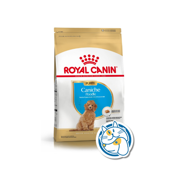 ROYAL CANIN CANICHE PUPPY 1KG
