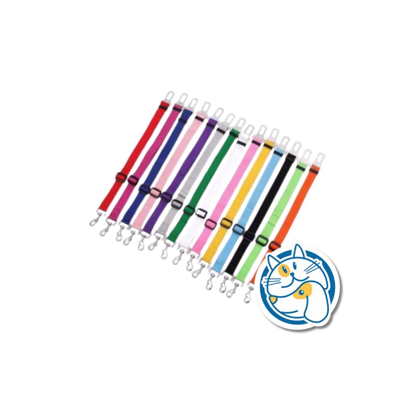 CINTURON DE SEGURIDAD