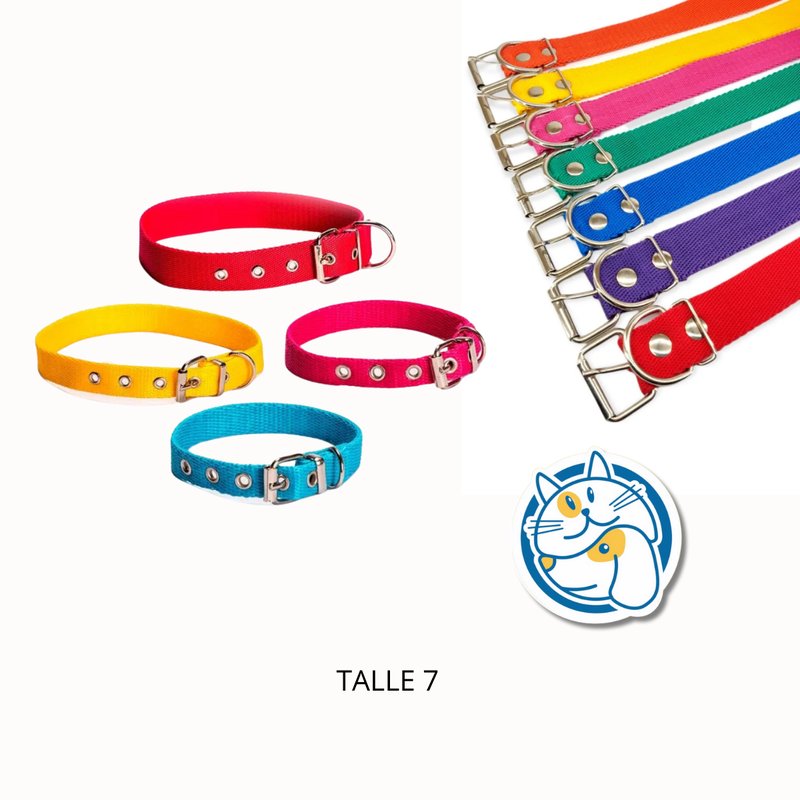 COLLAR POLIPROPILENO T7 ARGENPET