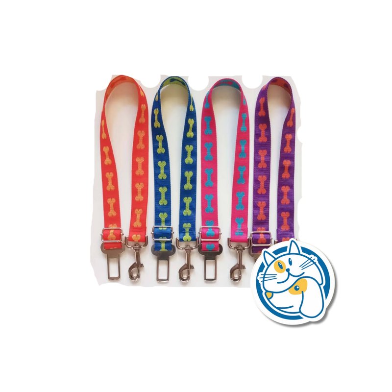 CINTURON CORREA ARGENPET