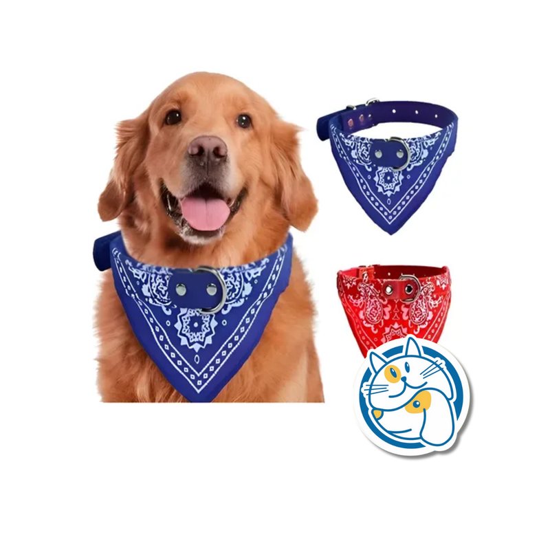 COLLAR DE CUERO BANDANA 2.5CM - 25250