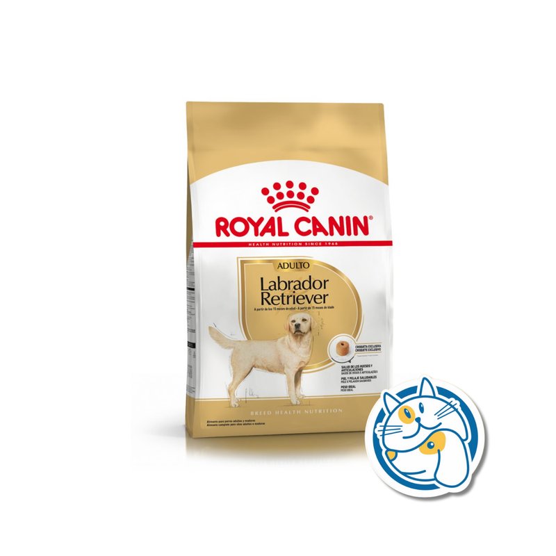 ROYAL CANIN LABRADOR RETRIEVER ADULTO 12KG