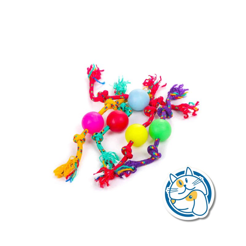 S901 - PELOTA DE GOMA CHICA CON SOGA ALPINA 8MM X LARGO 65 CM