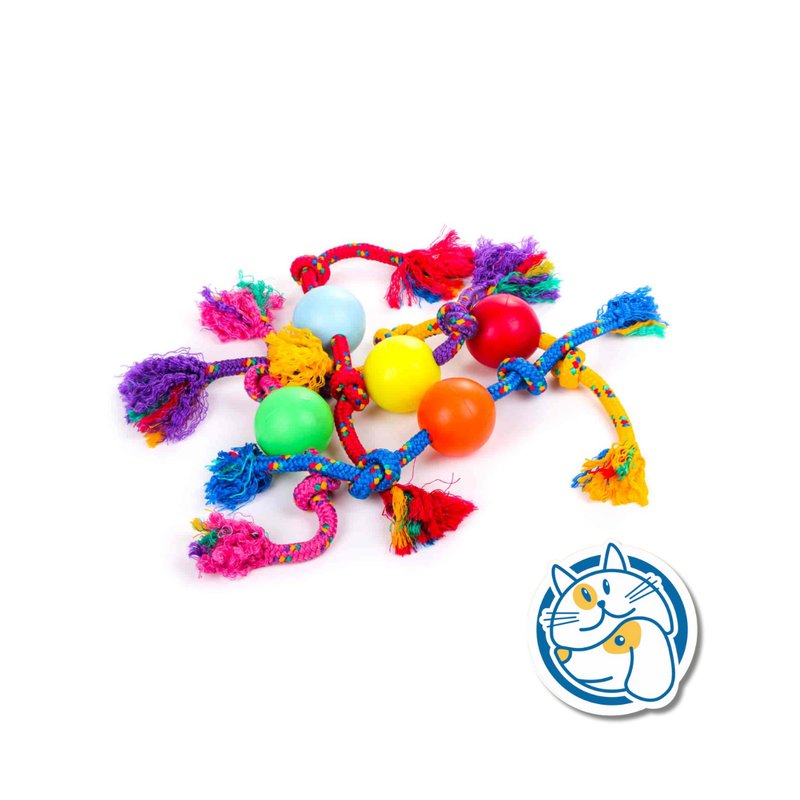 S903 - PELOTA DE GOMA GRANDE CON SOGA ALPINA 15MM X LARGO 75 CM