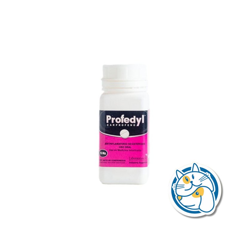 PROFEDYL X 100 MG X 60 COMP.