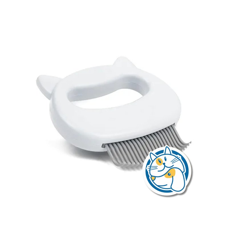 PEINE MASAJEADOR CWSS051