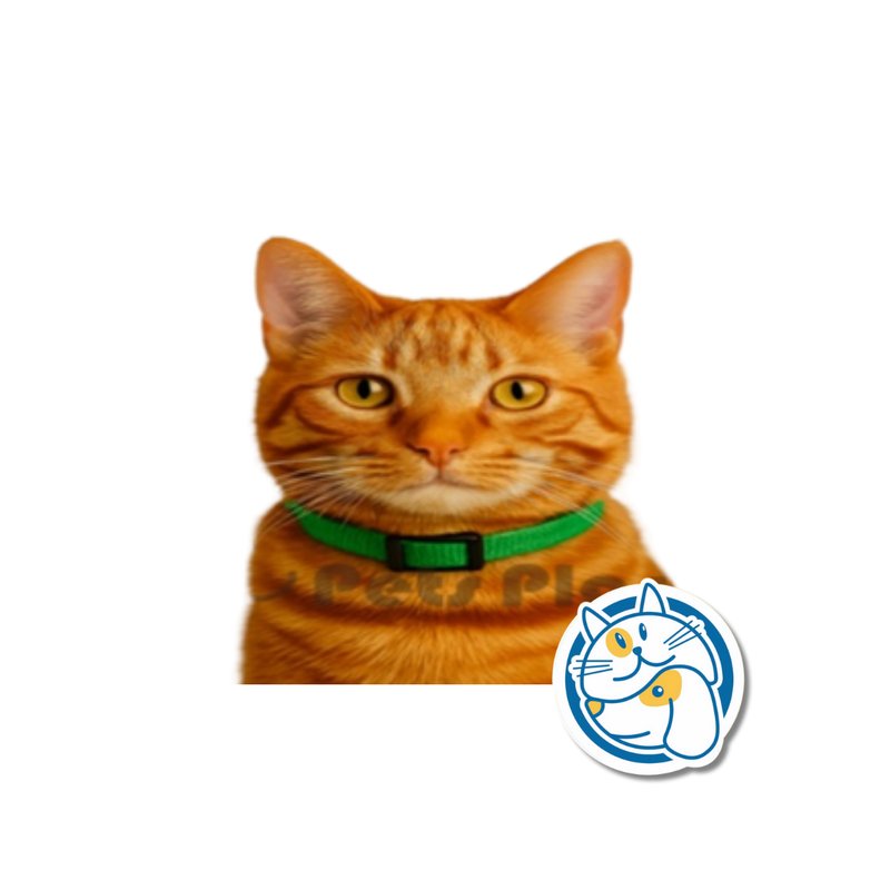 COLLAR 1.0 SEG. LIB RAPIDA 25243