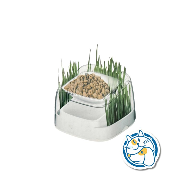 2EN1 GATUNO 21X21X14CM - 25171