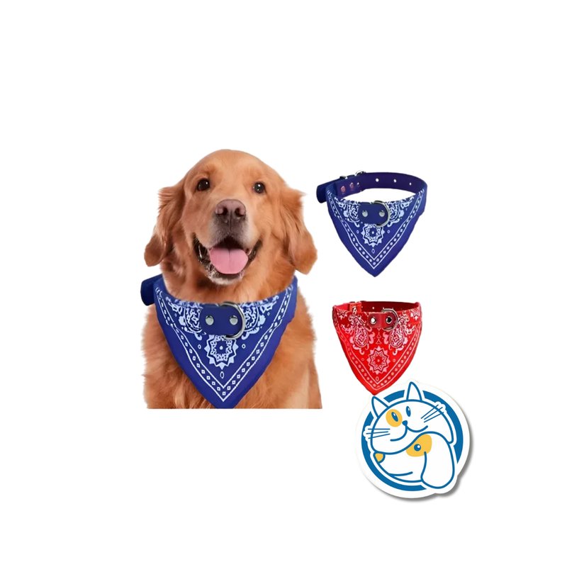 COLLAR CUERO BANDANA 25251