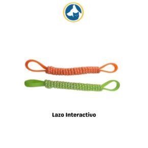 Lazo Interactivo.(PET ONE)