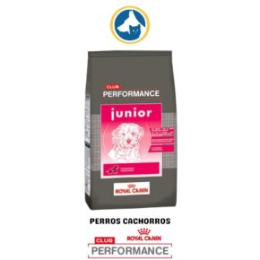 Performance Perros Cach.