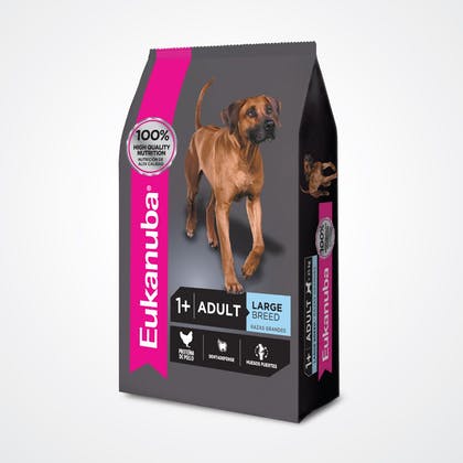 Eukanuba Adulto Large 15kg