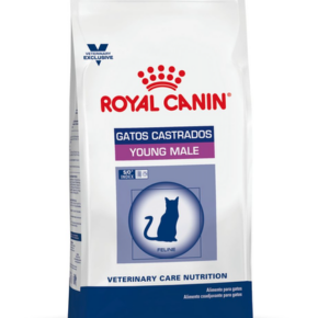 Royal Canin Gatos Young Male