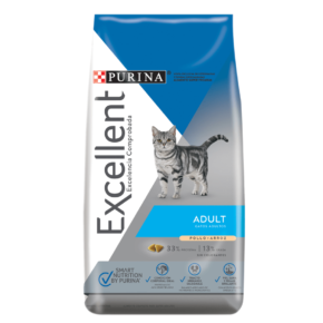 Excellent Gatos Adultos