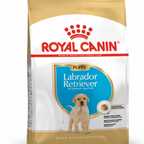 Royal Canin Labrador Retriever Puppy 12KG