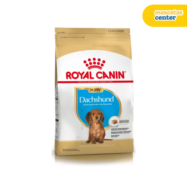 123 (10) Royal Canin Dachshund Puppy 3KG