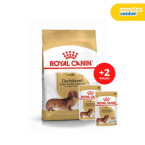 Royal Canin Dachshund Adulto 3kg