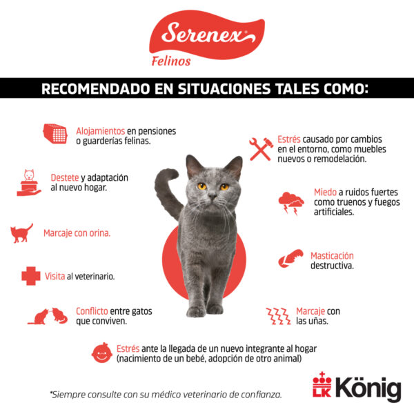 Serenex Difusor Felino x42 ML